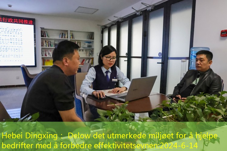 Hebei Dingxing: Delieving av miljøet for å hjelpe bedrifter med å forbedre effektiviteten_forororder_005